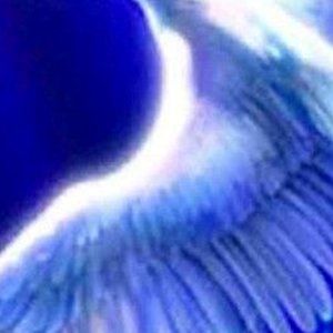 Meet your Posher, Kat